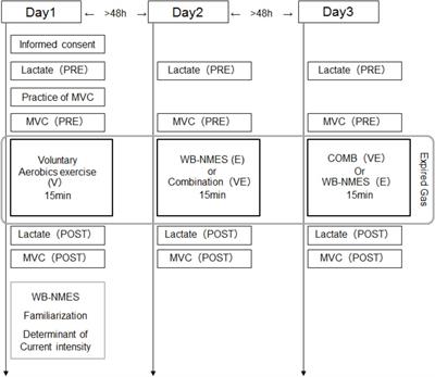 Effect of the Combination of Whole-Body Neuromuscular Electrical Stimulation and Voluntary Exercise on Metabolic Responses in Human